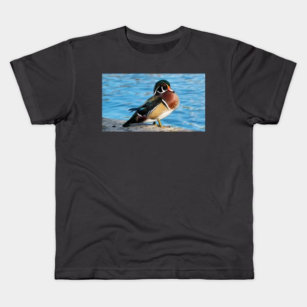 Wood Duck Posing Staring Kids T-Shirt by BackyardBirder